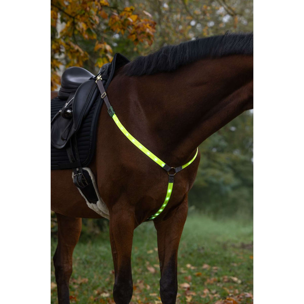Covalliero Pettorina Led Reflejo