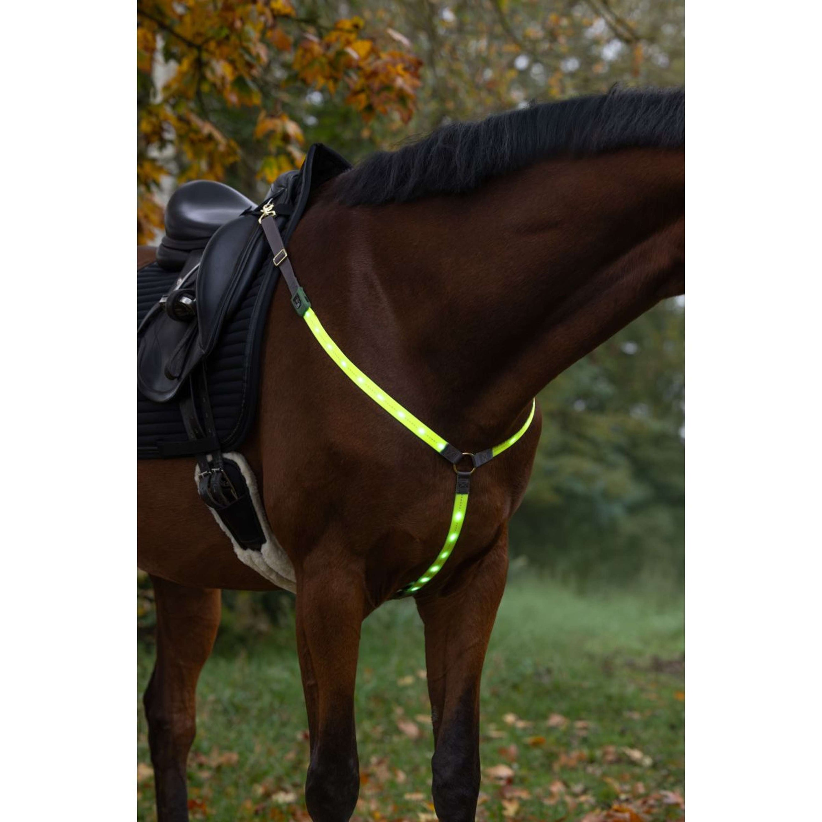 Covalliero Pettorina Led Reflejo
