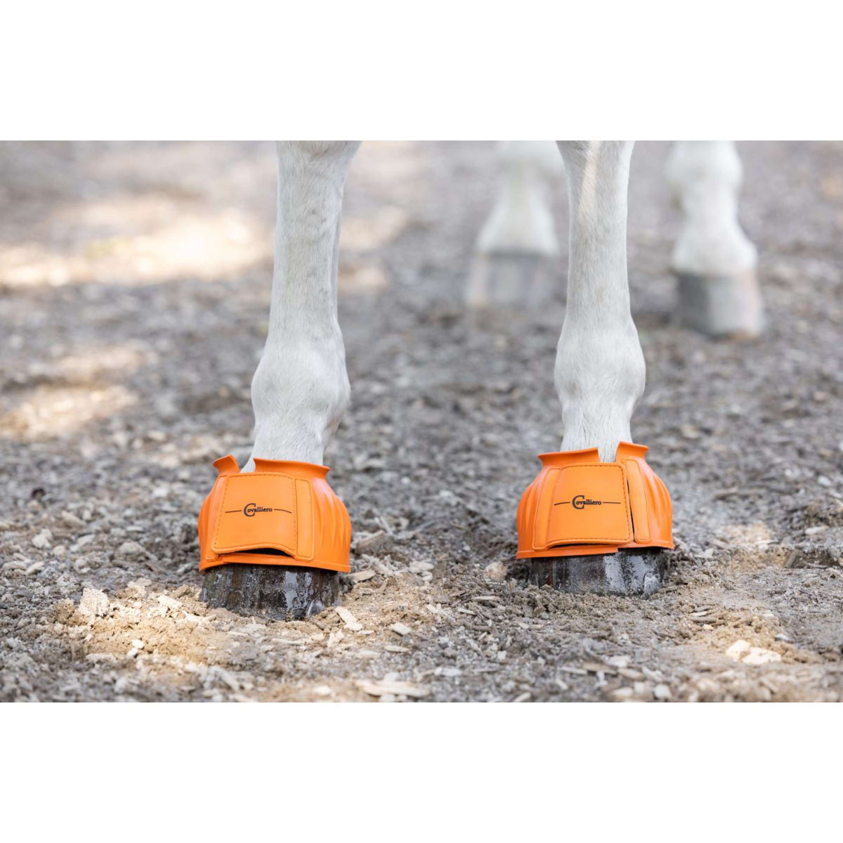 Covalliero Botas para caballos Gomma Naranja