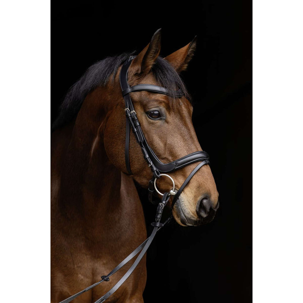 Covalliero Briglia Anatomic Negro