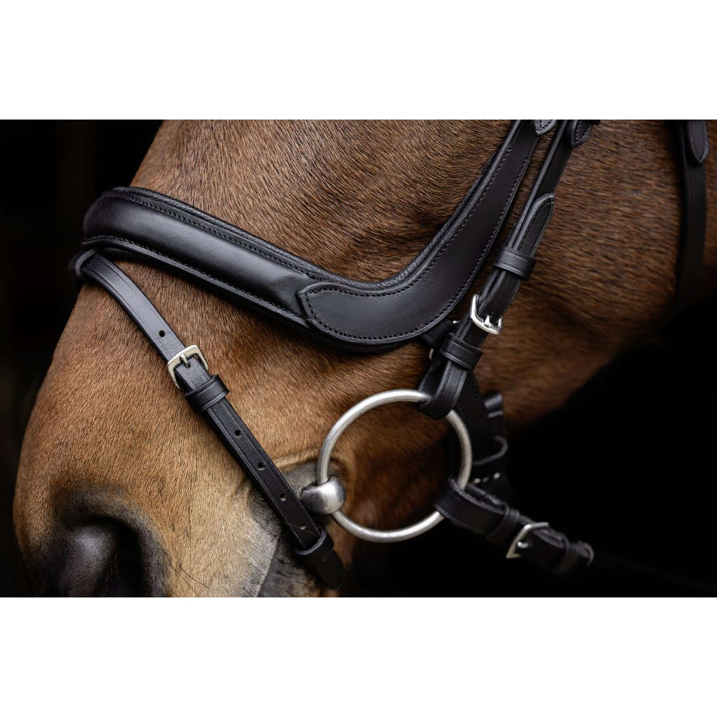 Covalliero Briglia Anatomic Negro