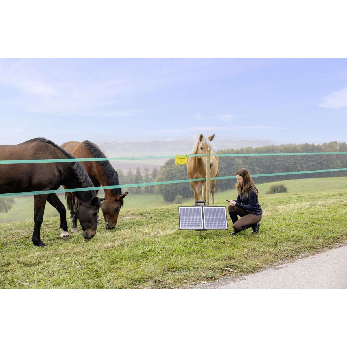 Ako Dispositivo per recinzioni elettriche S4000 Smart