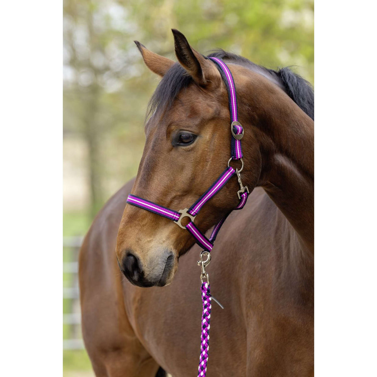 Covalliero Cabezada SS26 Dark Navy/Light Berry