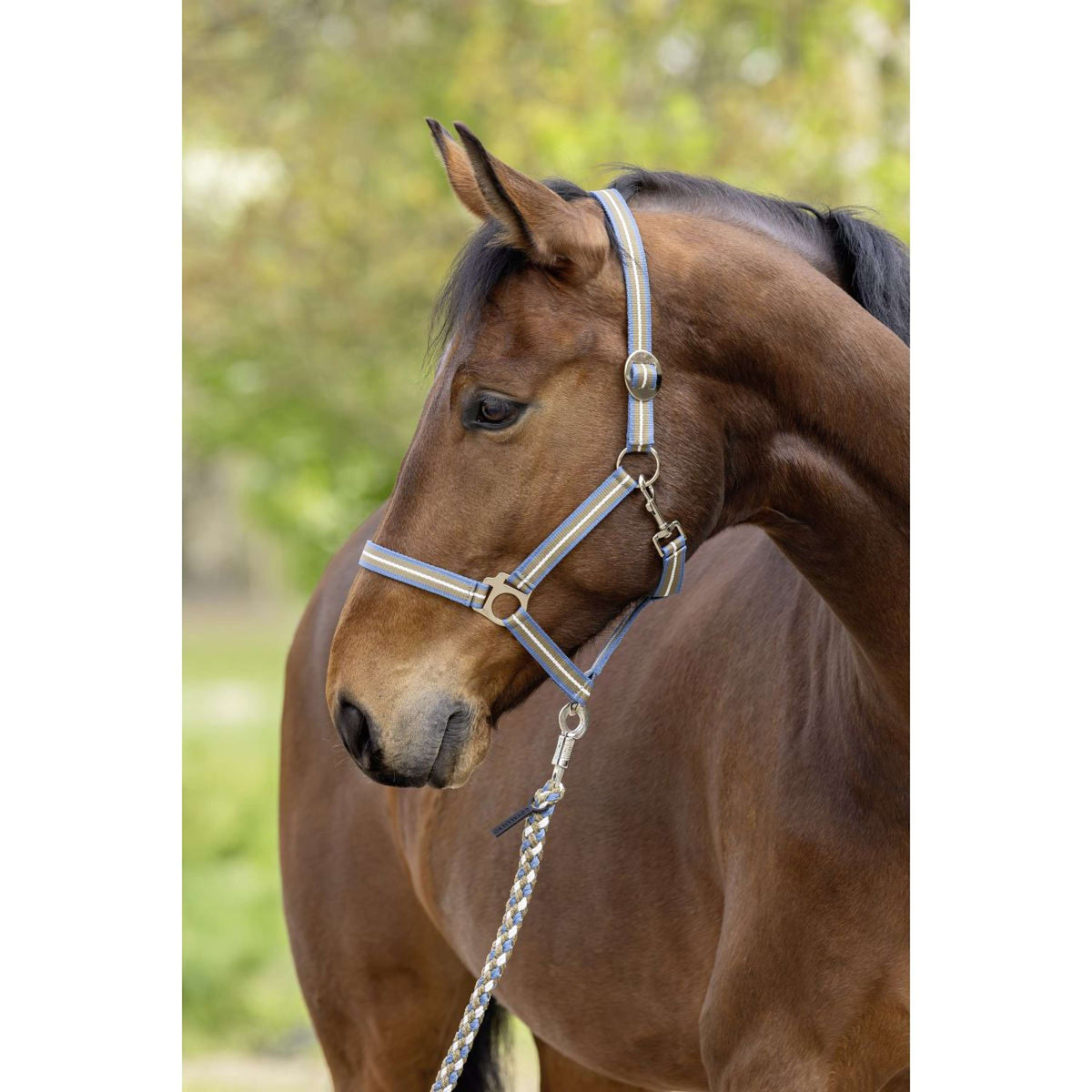 Covalliero Cabezada SS26 Smoked Blue/Nuez