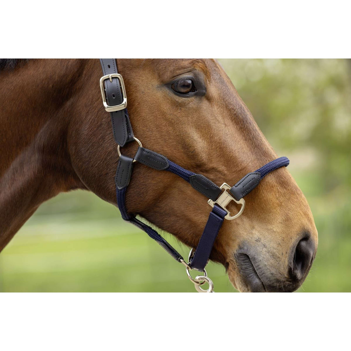 Covalliero Cabezada SS26 Azul Marino Oscuro