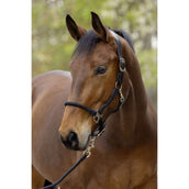 Covalliero Cabezada SS26 Negro