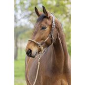 Covalliero Cabezada SS26 Nuez