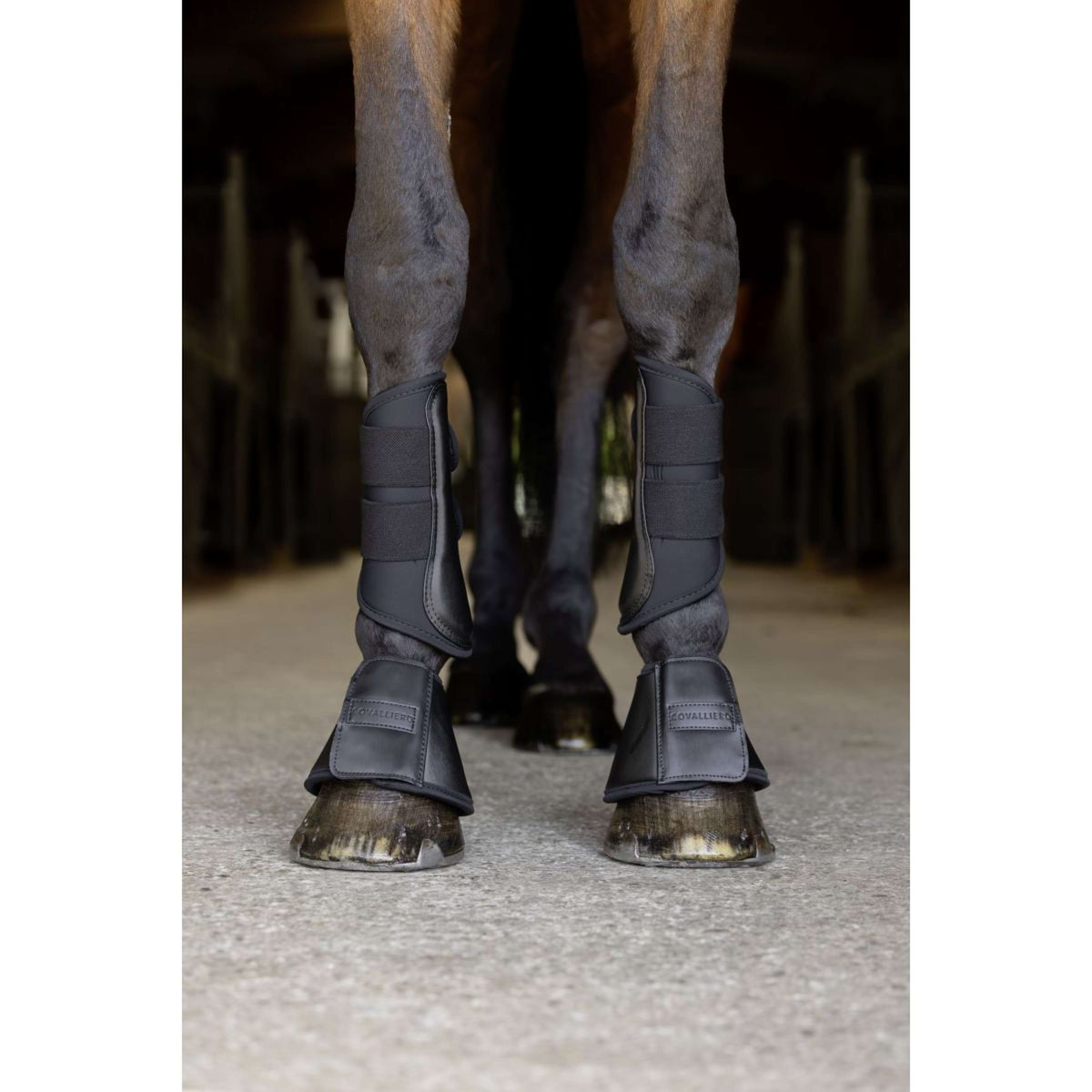 Covalliero Botas para Caballos SS26 Negro