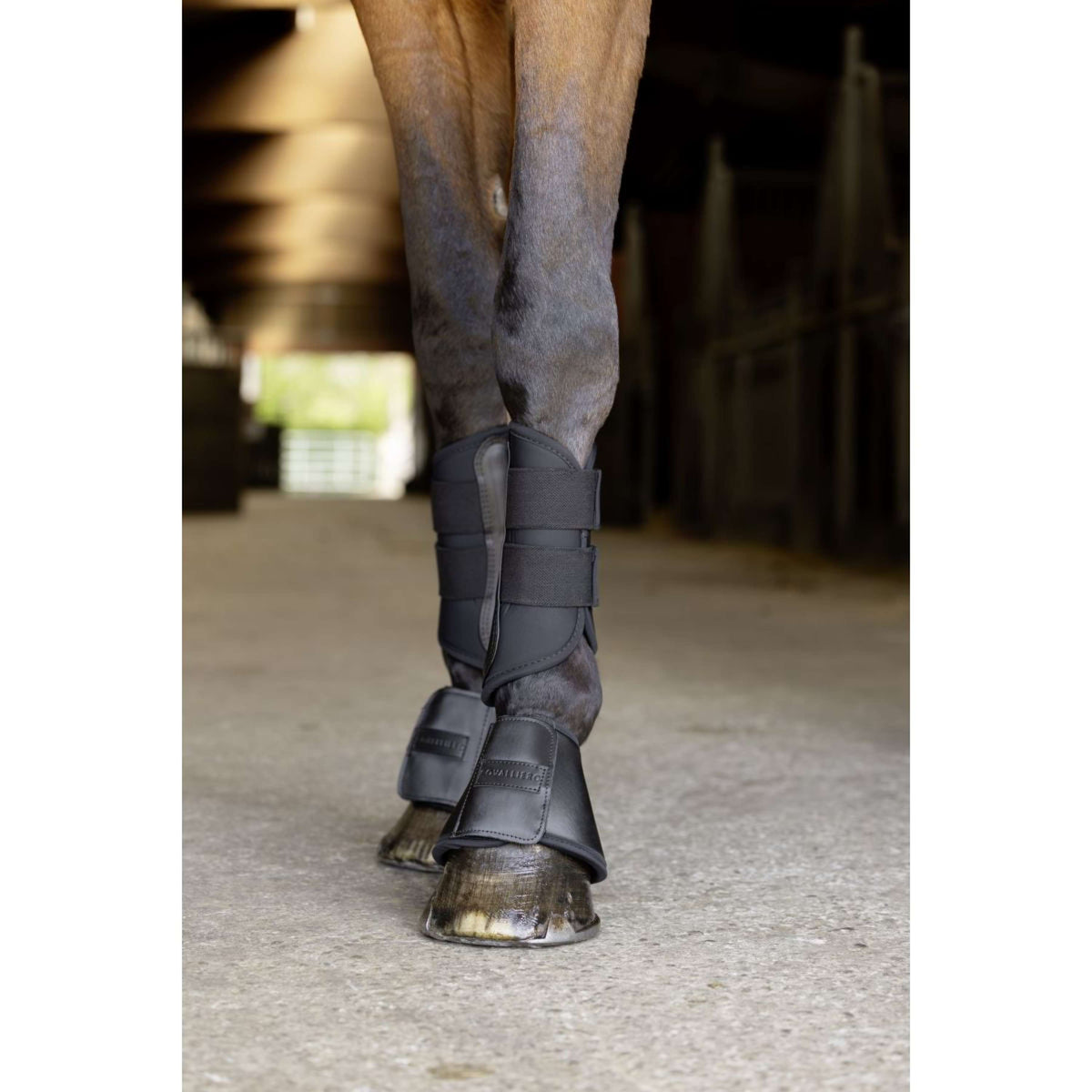Covalliero Botas para Caballos SS26 Negro