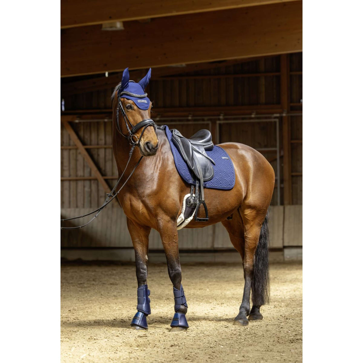 Covalliero Mantilla SS26 Propósito general Azul Marino Oscuro