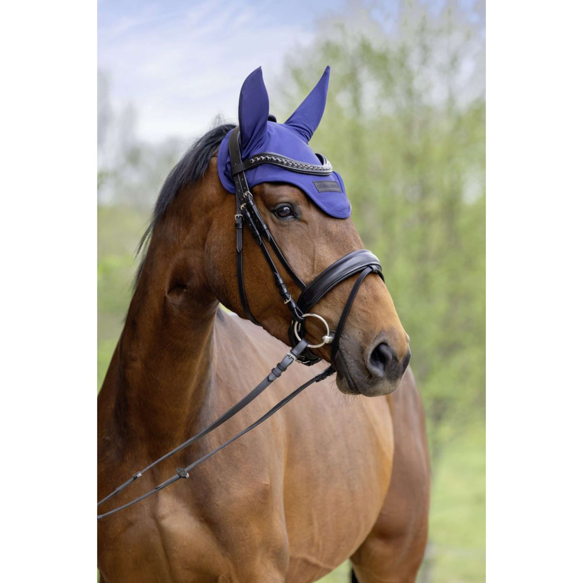Covalliero Bonete para Orejas SS26 Azul Marino Oscuro