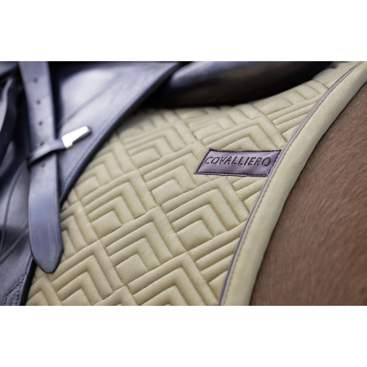 Covalliero Mantilla SS26 Propósito general Nuez
