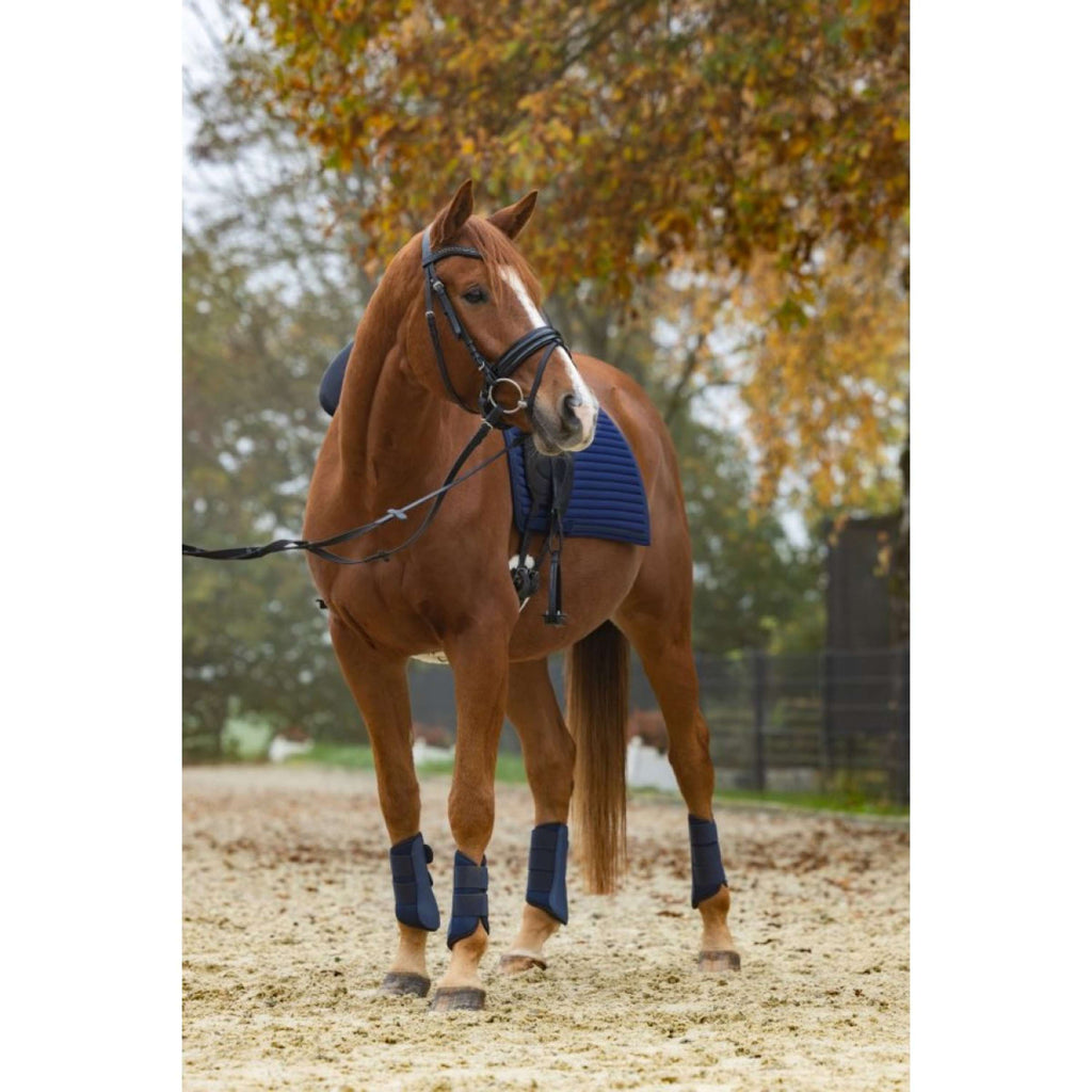 Covalliero Botas para Tendones Avina Navy