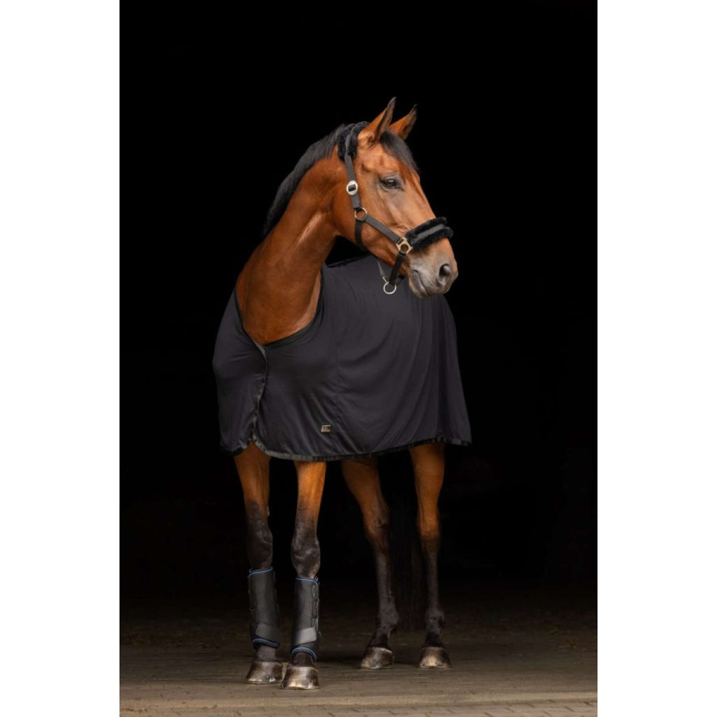 Covalliero Cooler Cooling Negro