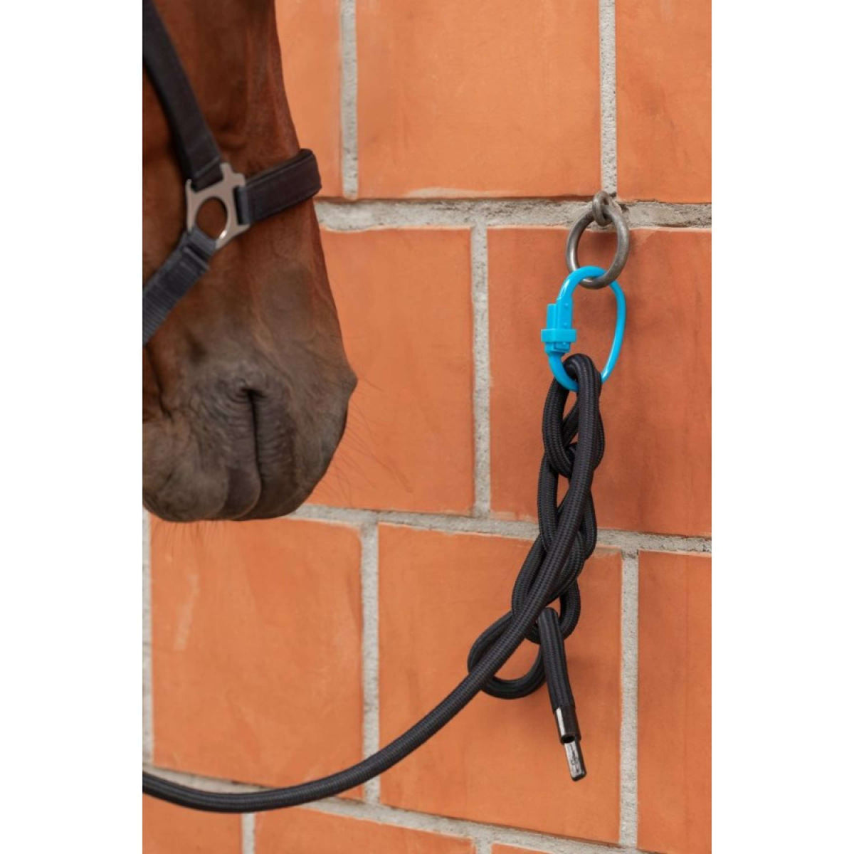 Kerbl Anillo de seguridad Safety Tie-Down Rojo/Negro/Azul