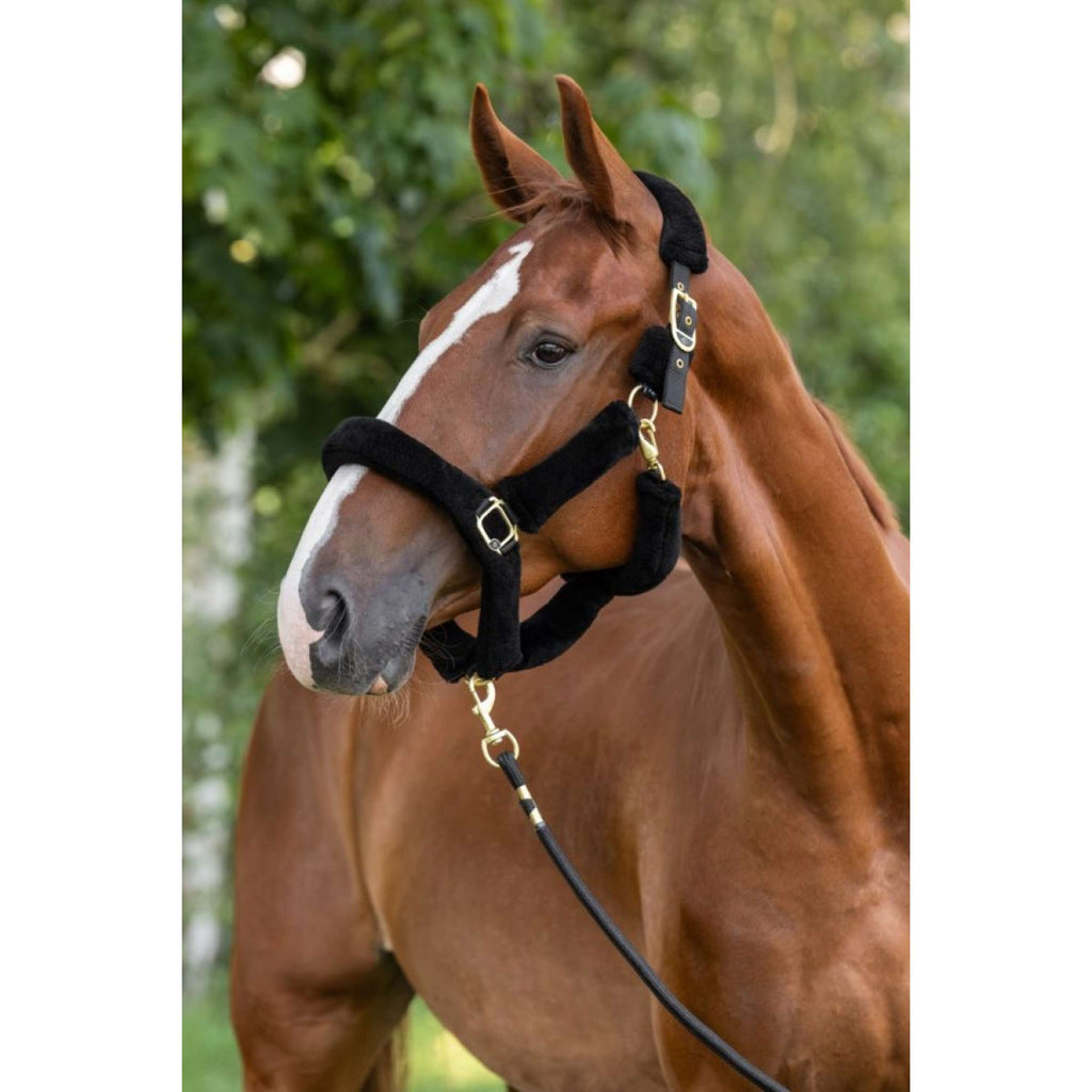 Covalliero Cabestro Supersoft 2.0 Negro
