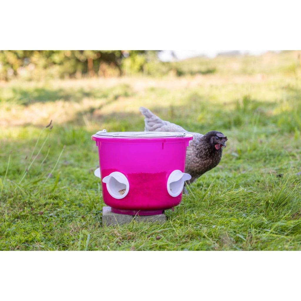 Kerbl Cubeta de Comida Pollos Rosa