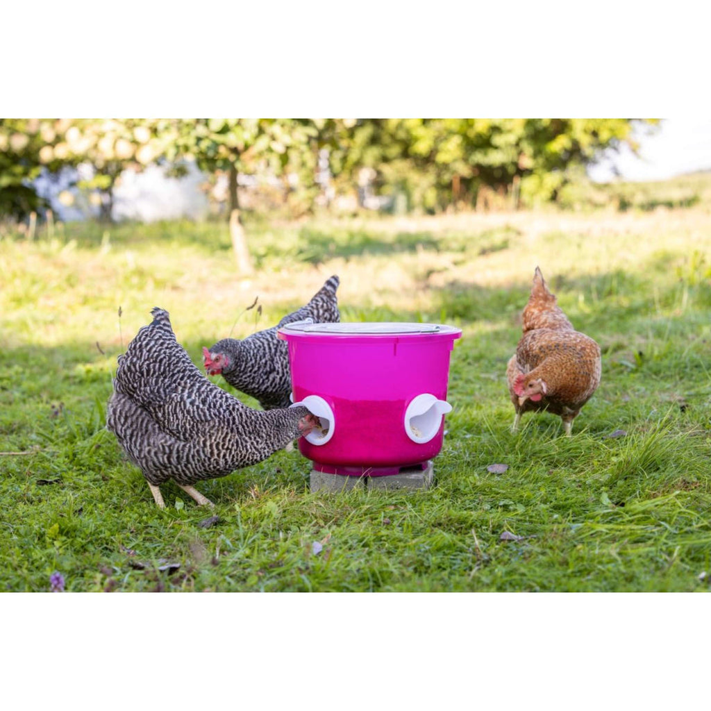 Kerbl Cubeta de Comida Pollos Rosa