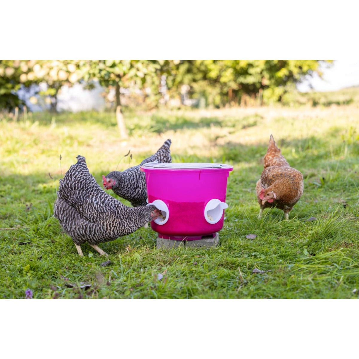 Kerbl Cubeta de Comida Pollos Rosa