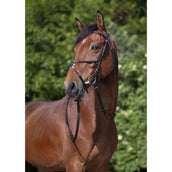 Riding World Brida con Muserola Mexicana Negro