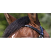 Riding World Brida con Muserola Mexicana Negro