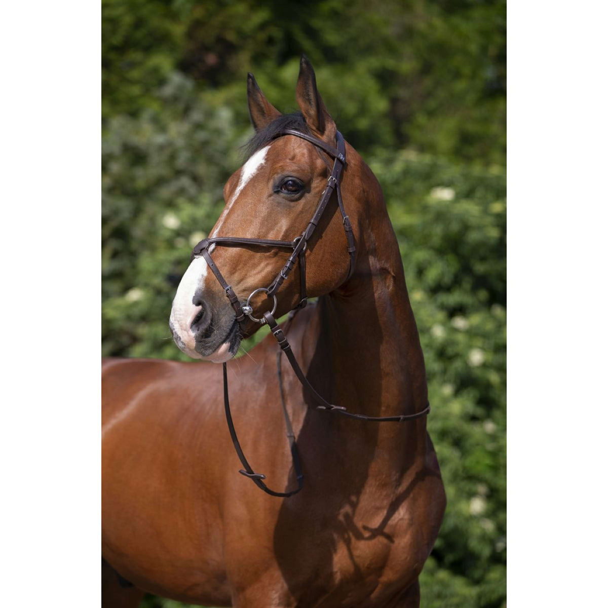 Riding World Brida con Muserola Mexicana Habana