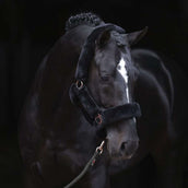 Covalliero Cabezada SuperSoft Negro
