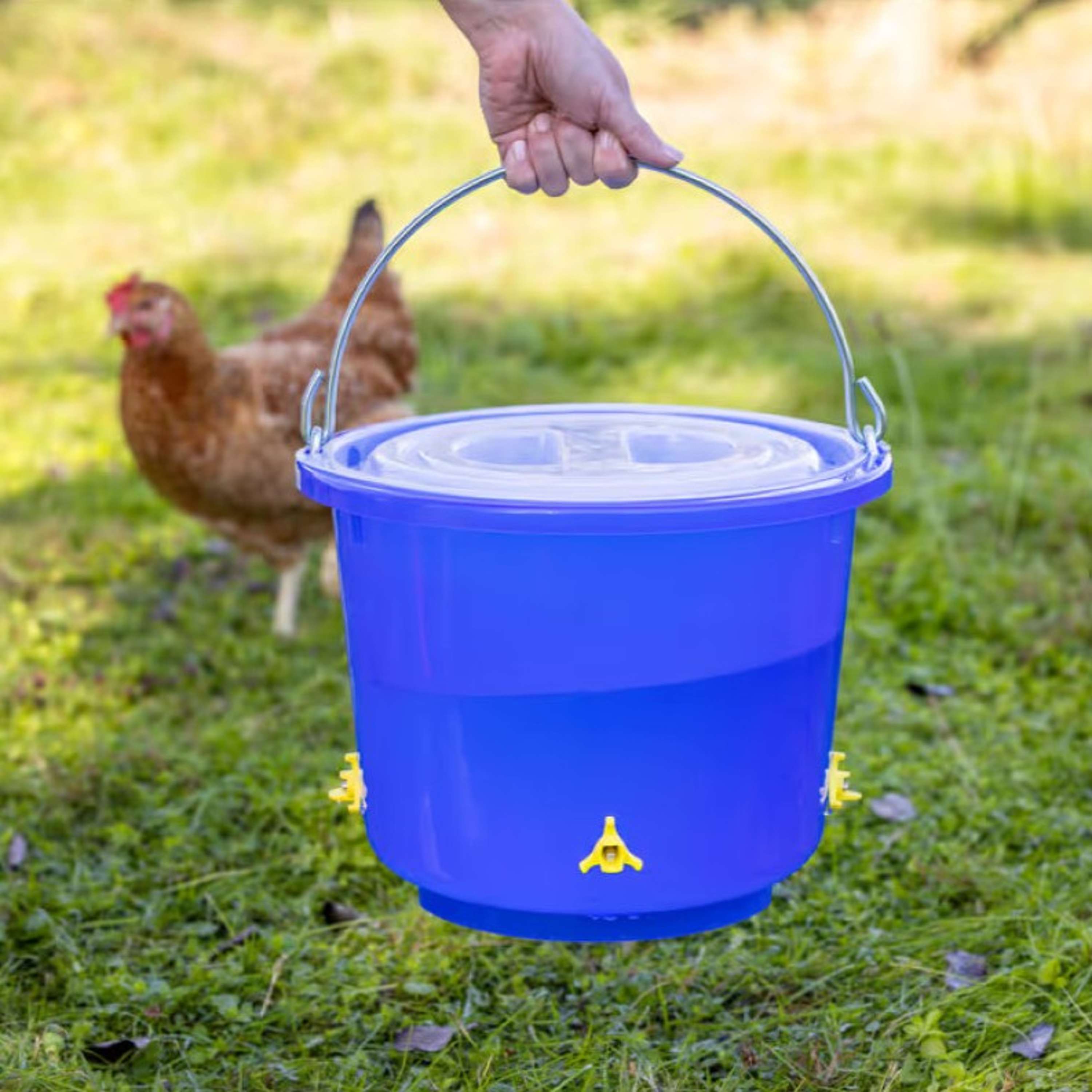 Kerbl Cubo Bebedero para Aves con 4 bebederos de tetina Azul