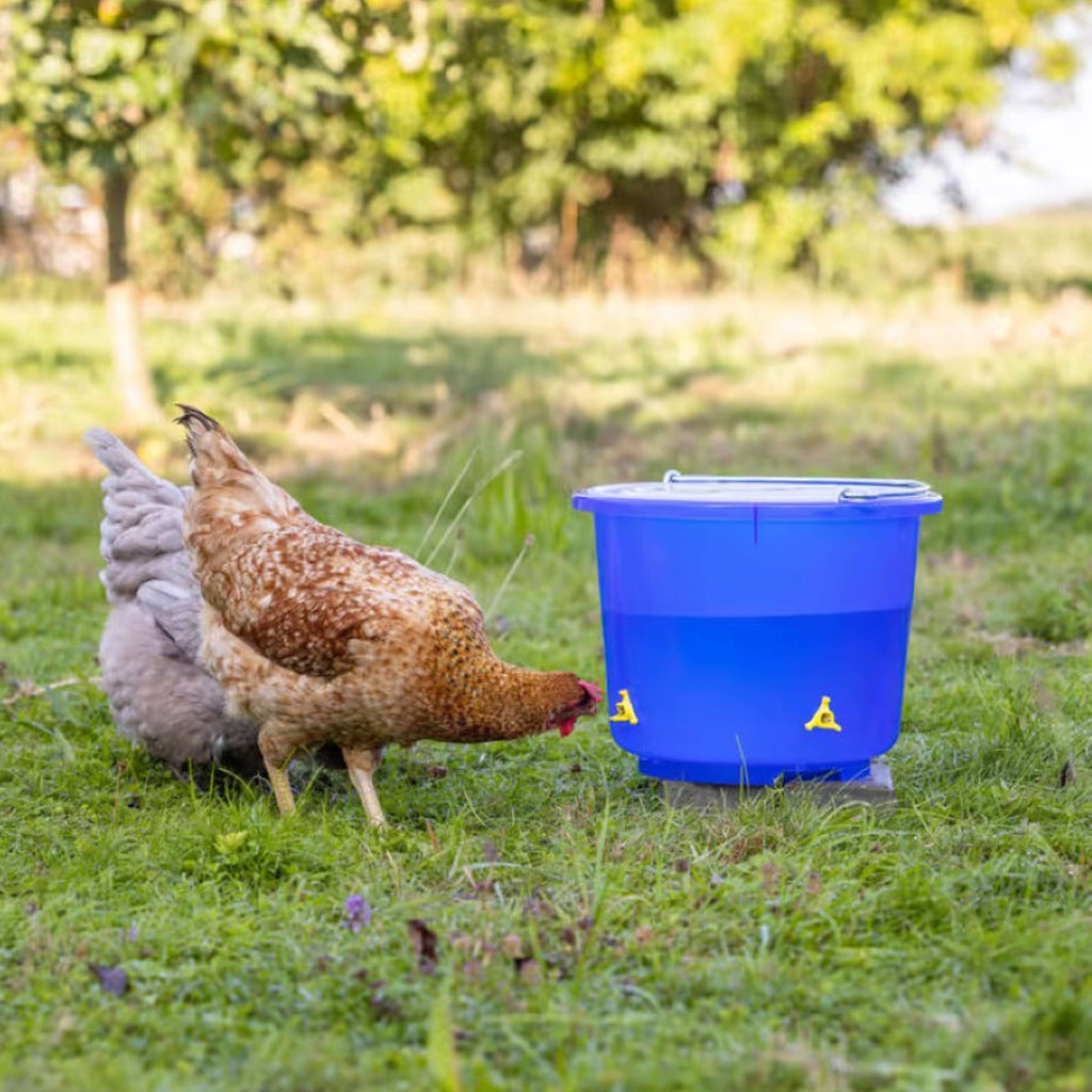 Kerbl Cubo Bebedero para Aves con 4 bebederos de tetina Azul
