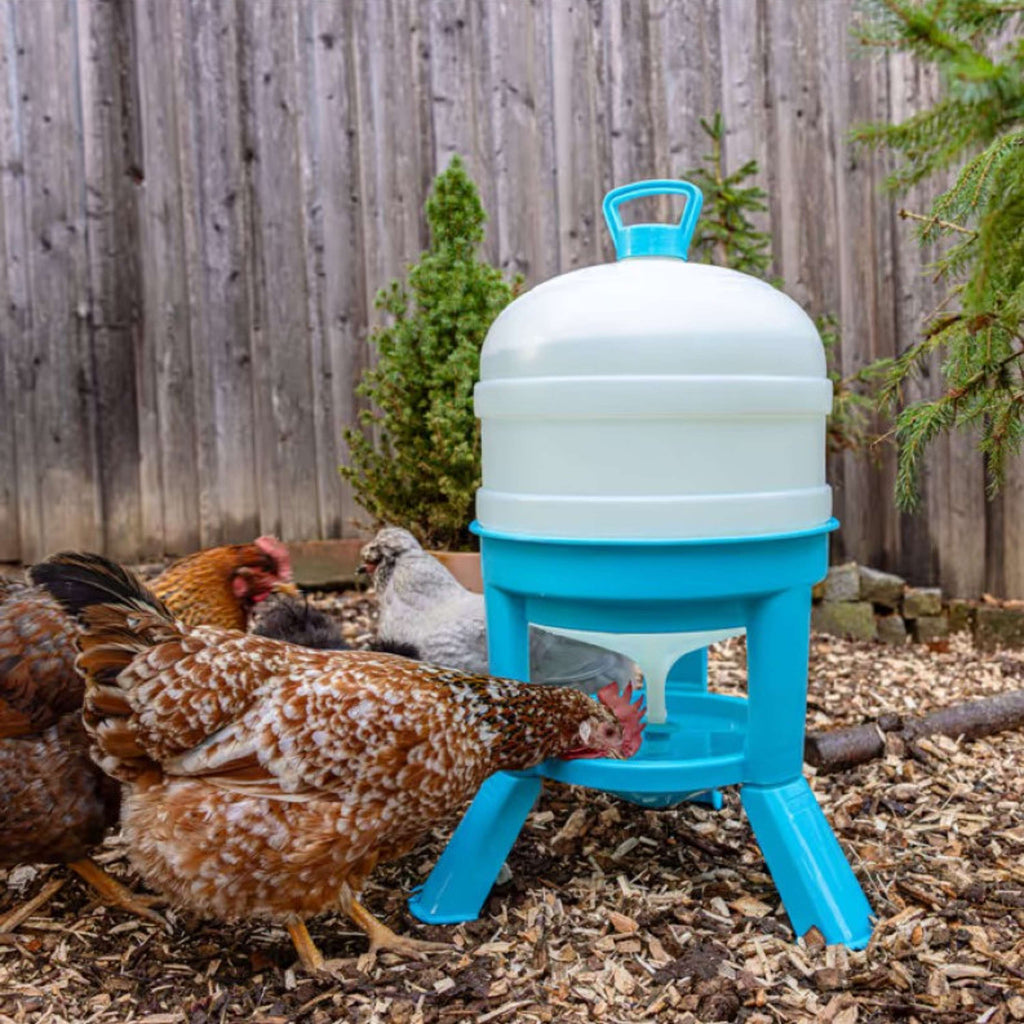 Kerbl Torre Bebedero para Aves Azul Blanco