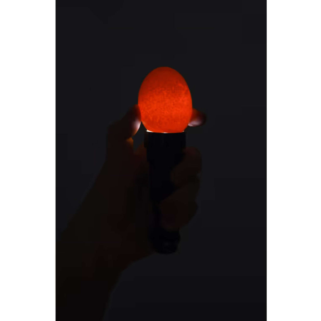 Kerbl Lámpara LED ovoscopio Negro