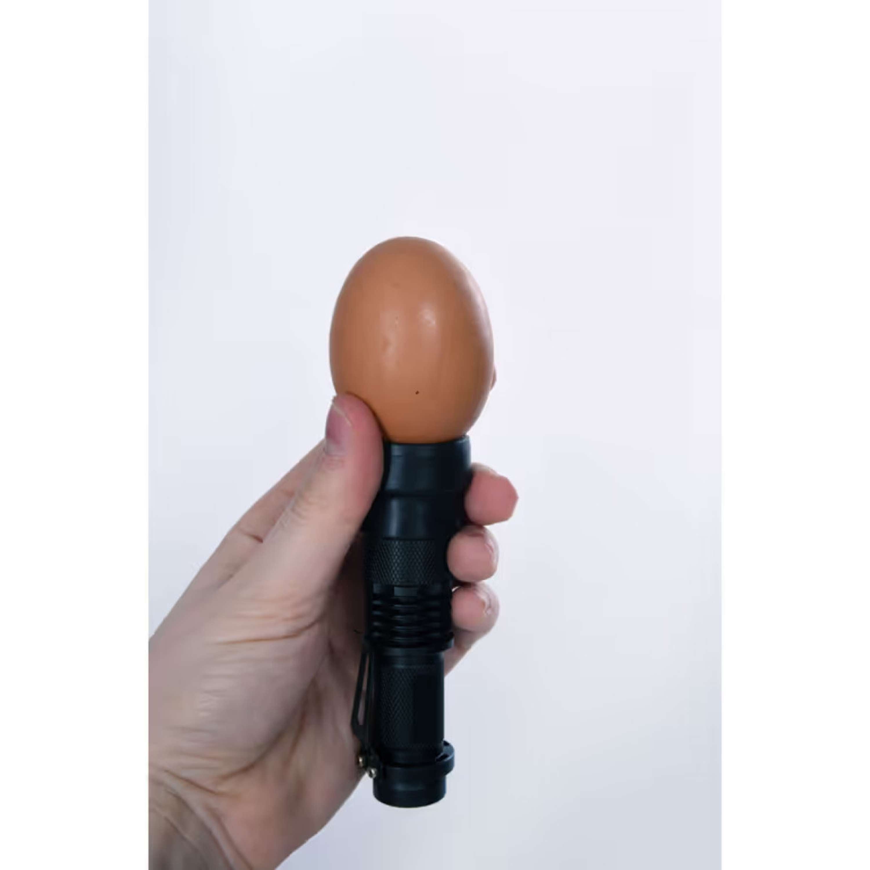 Kerbl Lámpara LED ovoscopio Negro