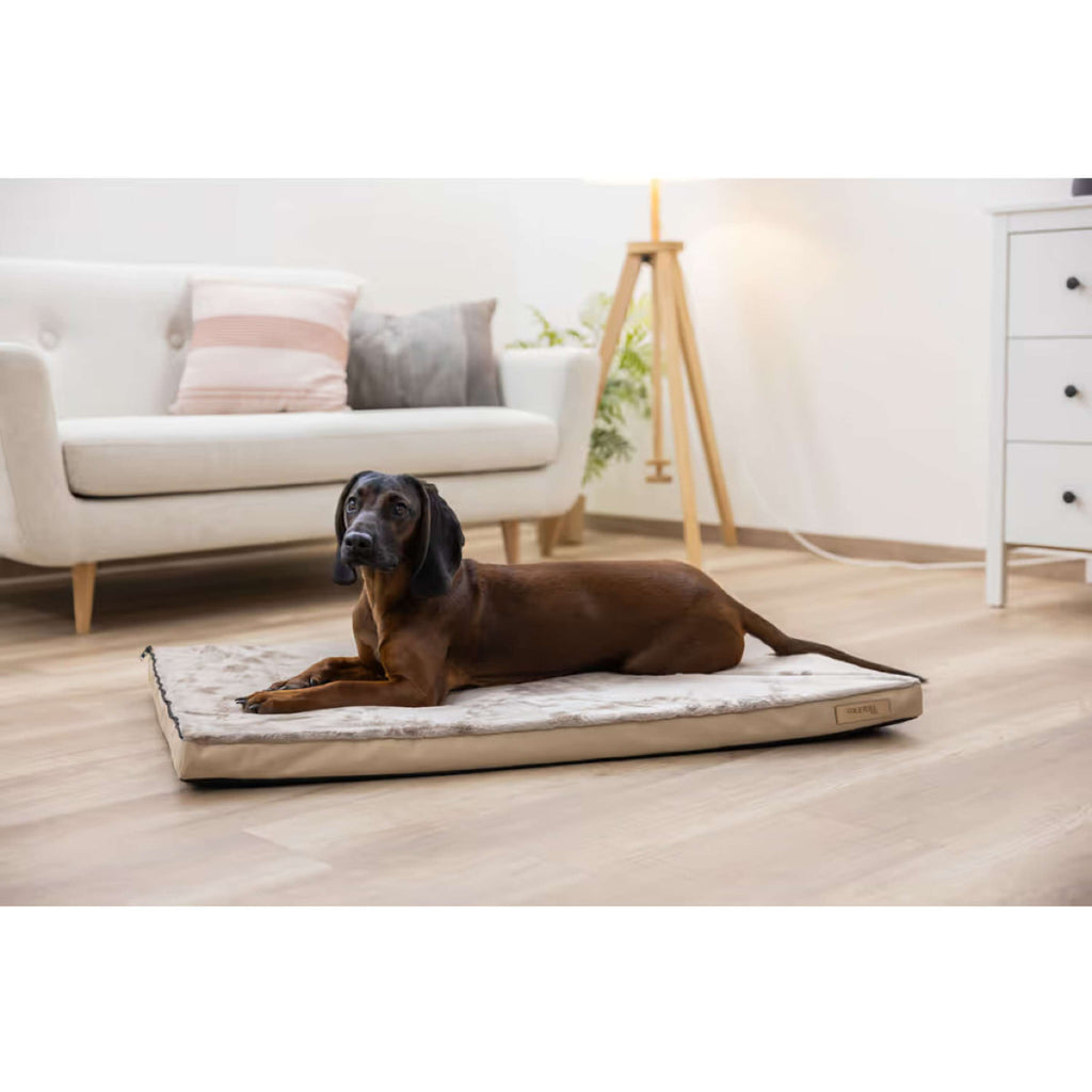 Kerbl Colchón para Perro 2 in 1 Marron/Beige