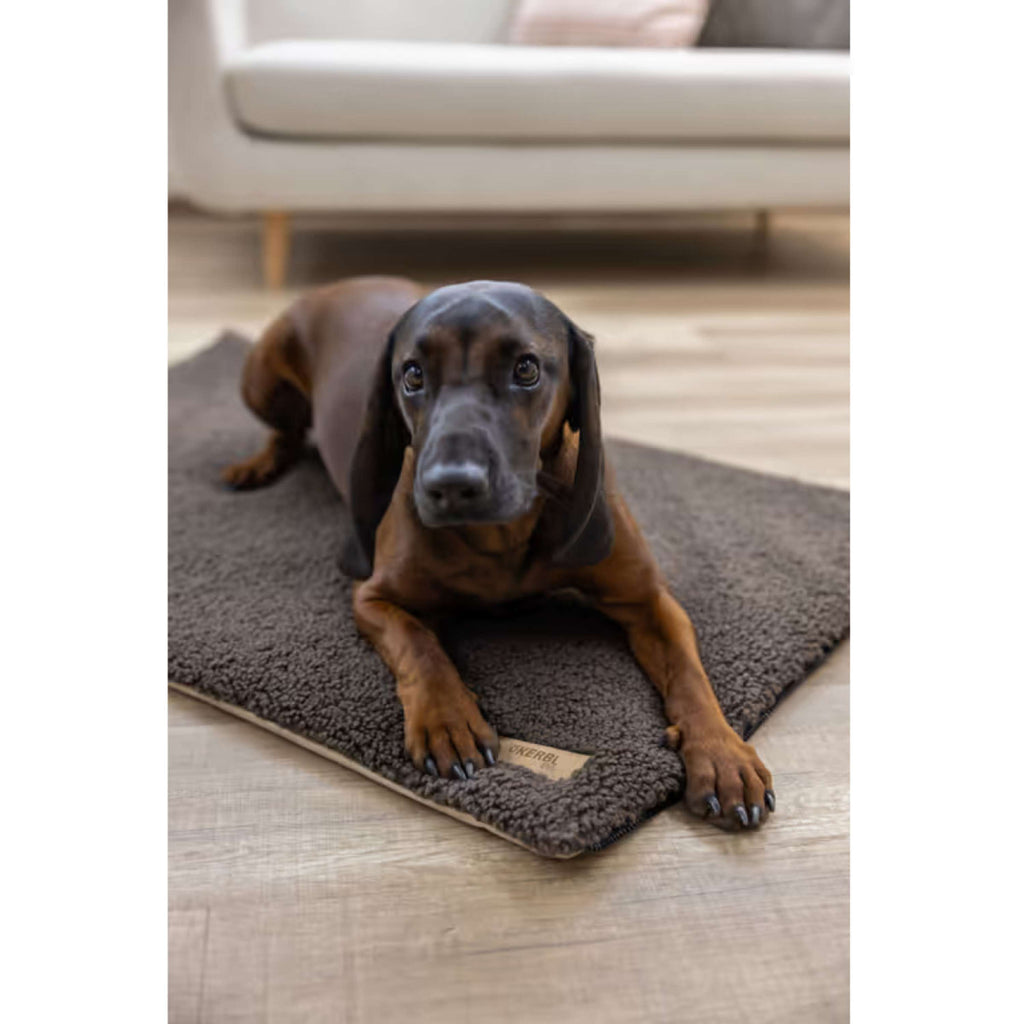 Kerbl Colchón para Perro 2 in 1 Marron/Beige