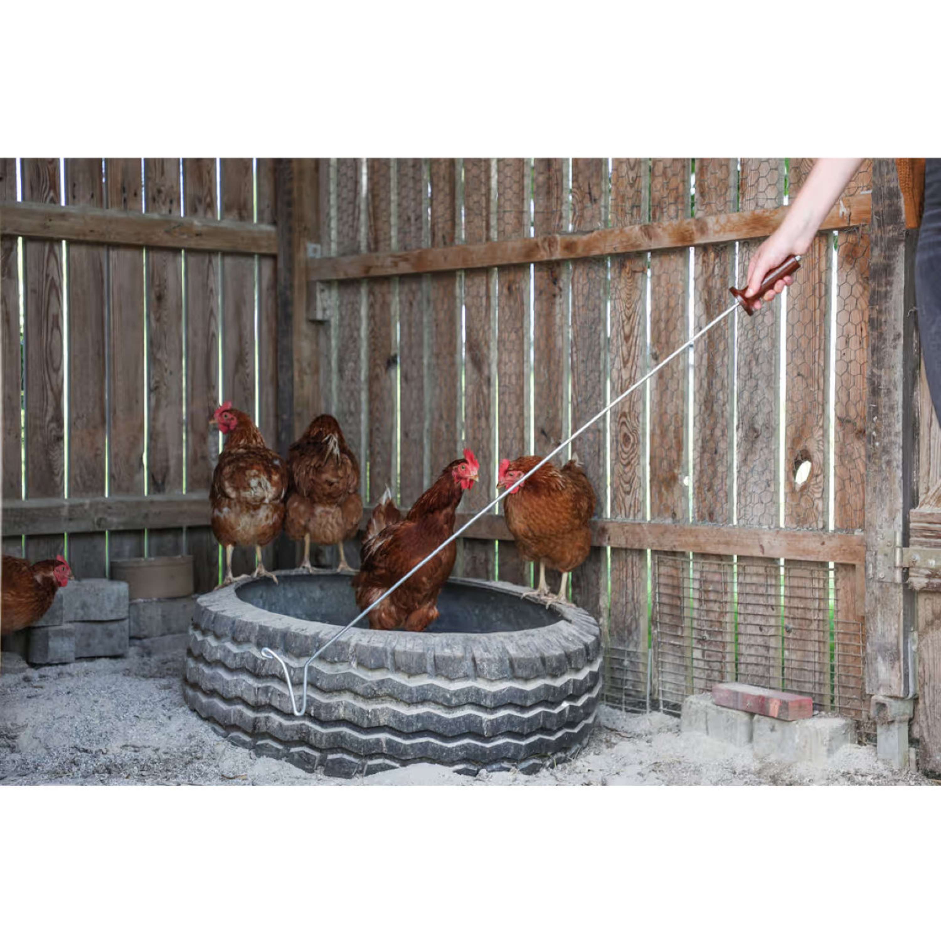 Kerbl Gancho para Pollos Metal