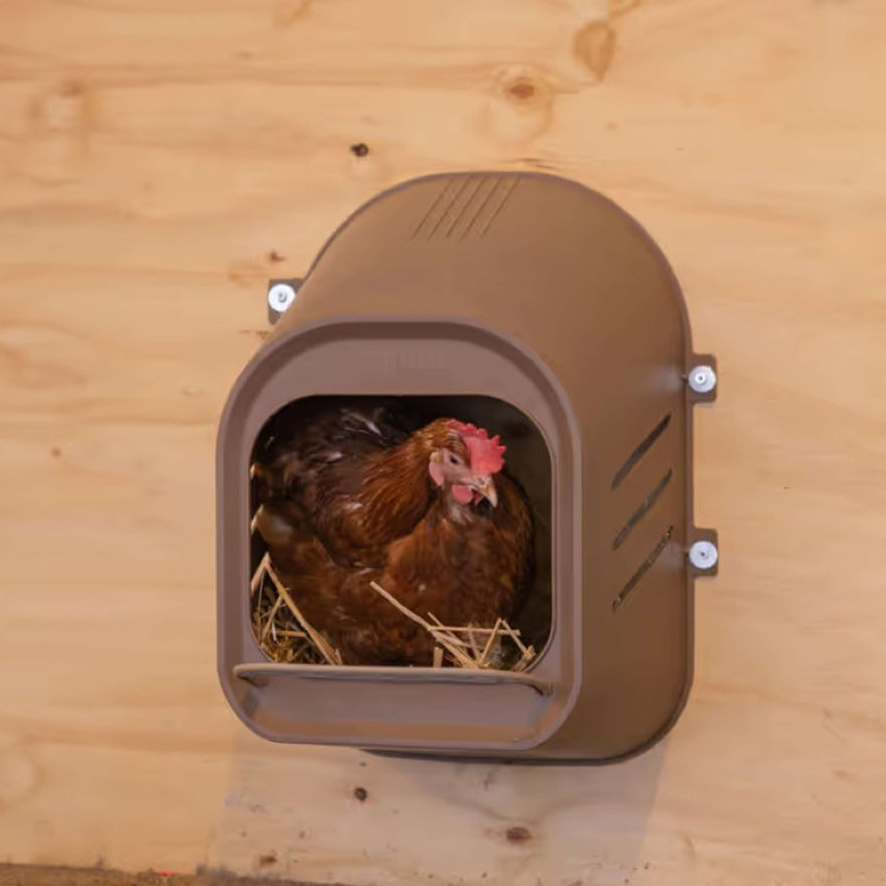 Kerbl Nido de Puesta para Aves de Corral Marron