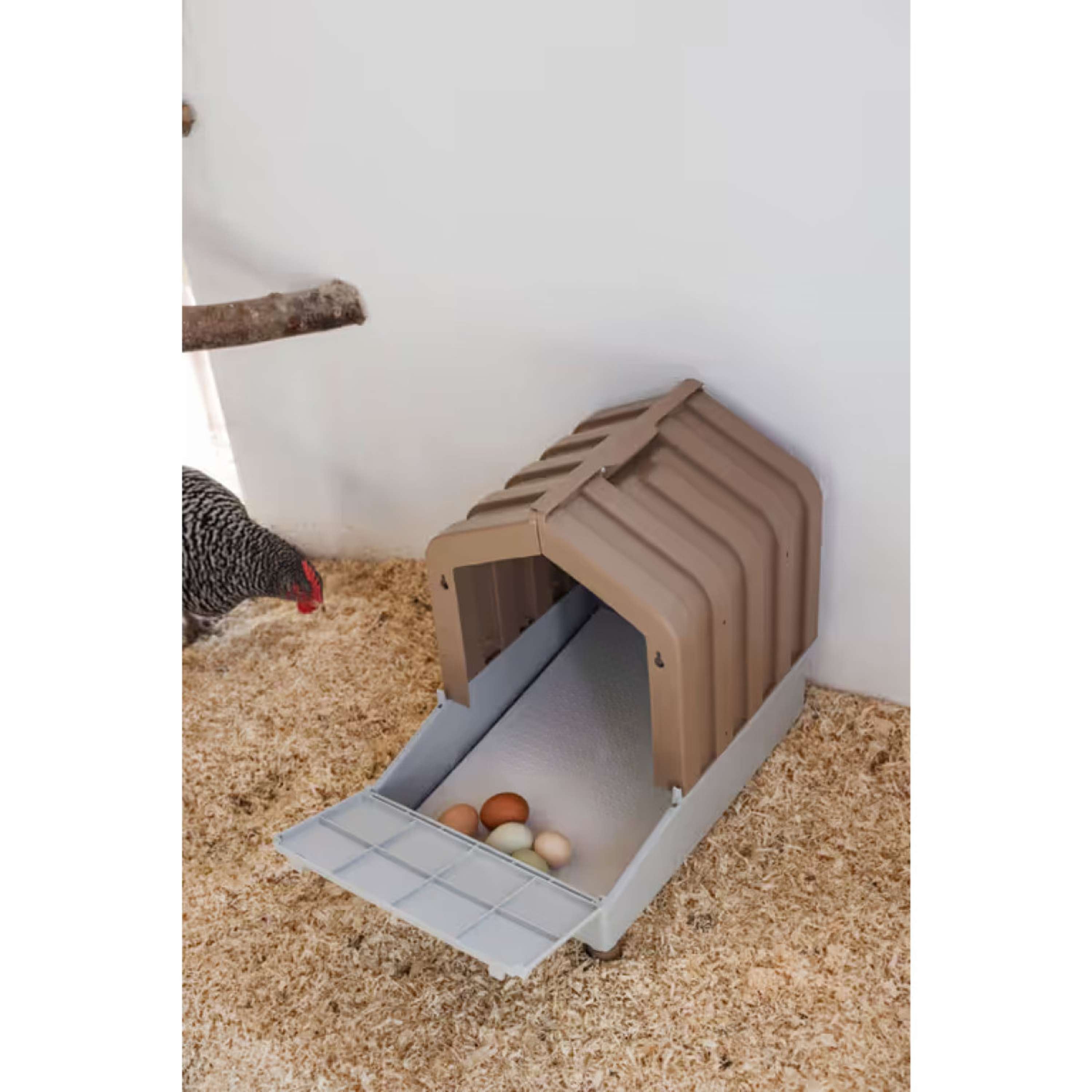 Kerbl Nido de Puesta para Aves de Corral con Bandeja Recolectora Marron/Gris