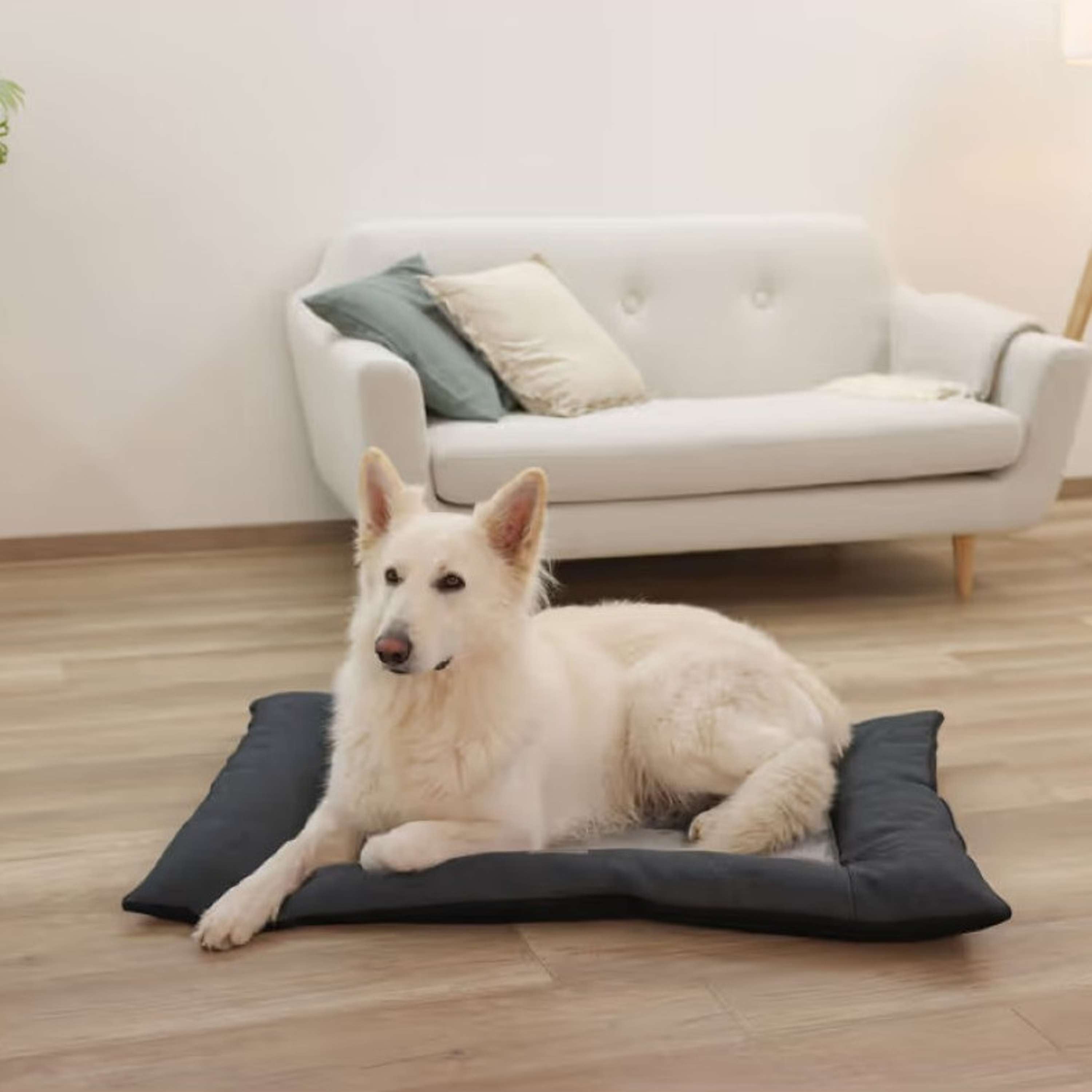Kerbl Cojín para Perro Ortopédico Gris