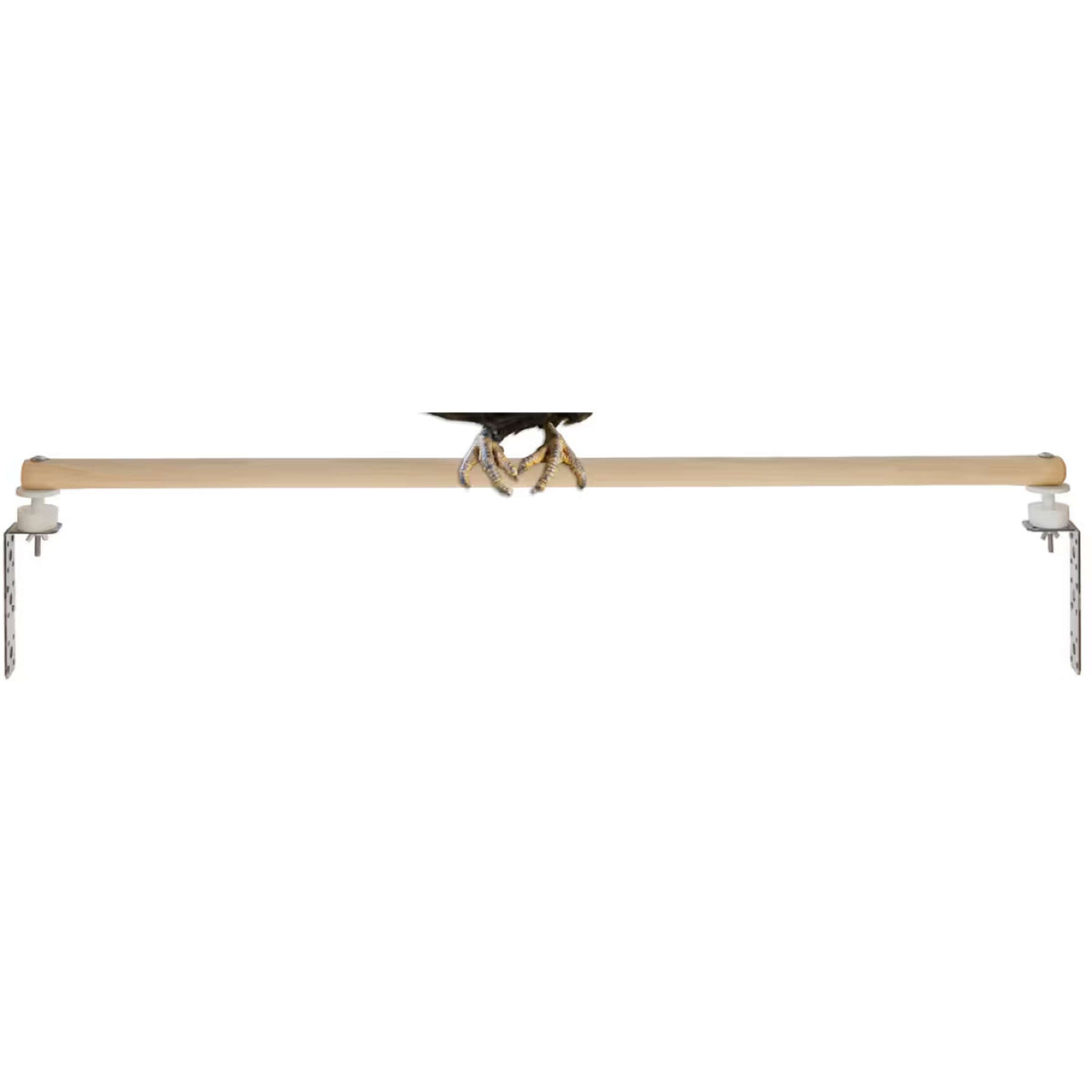 Kerbl Trampa para ácaros Percha