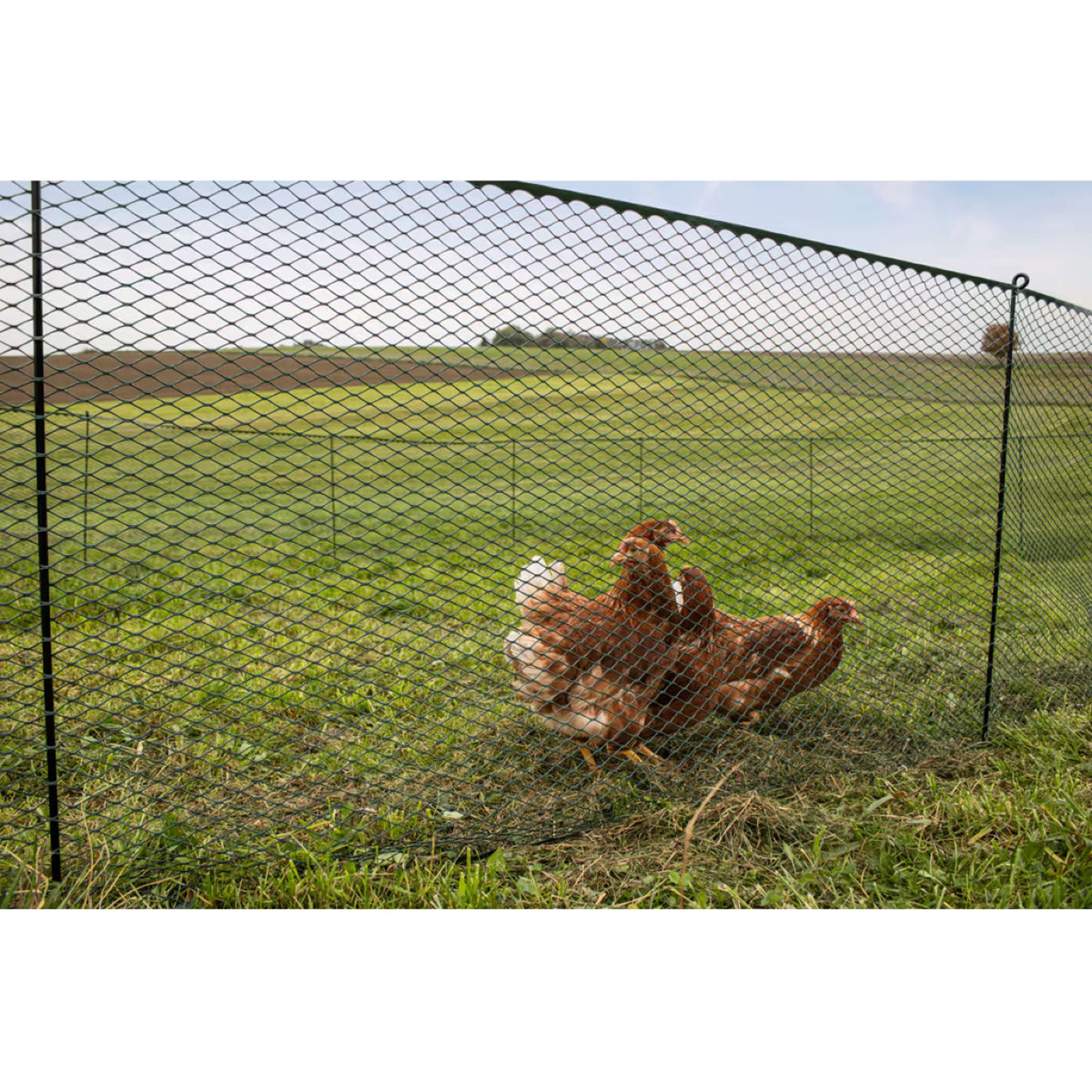 Kerbl Malla para aves de corral Sintético Negro