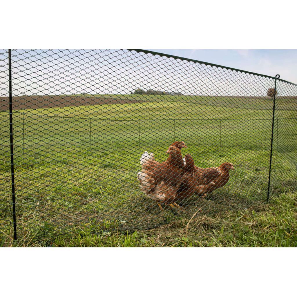 Kerbl Malla para aves de corral Sintético Negro