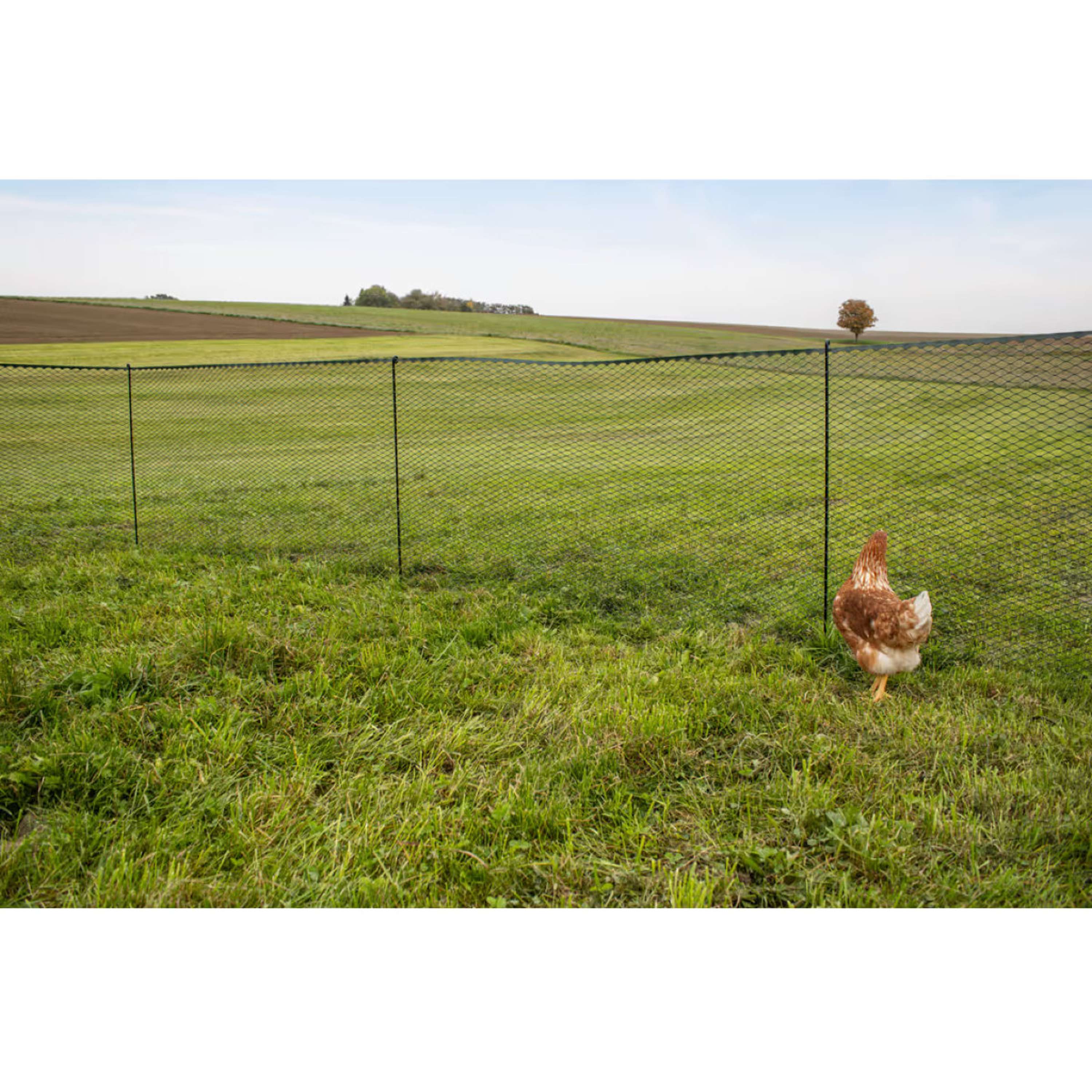 Kerbl Malla para aves de corral Sintético Negro