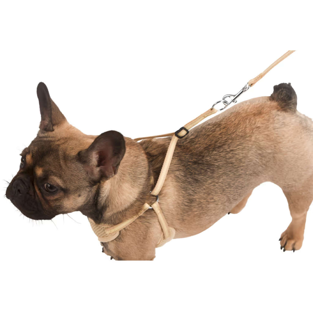 Kerbl Arnès para Cachorro con Ramal Beige