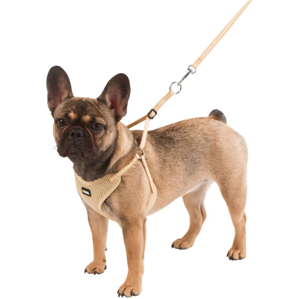 Kerbl Arnès para Cachorro con Ramal Beige