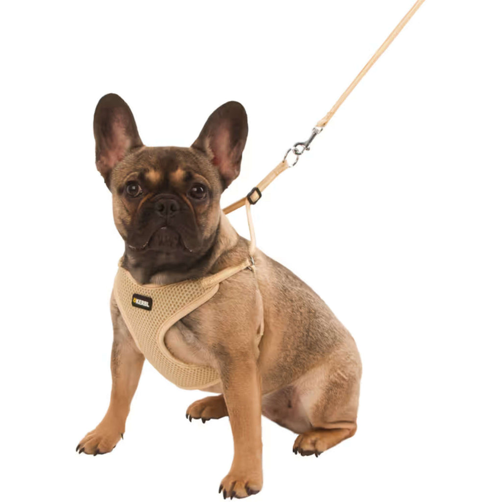Kerbl Arnès para Cachorro con Ramal Beige