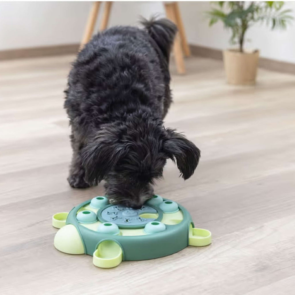 Kerbl Tortuga de Juguete Juego de Pensamiento y Aprendizaje Verde