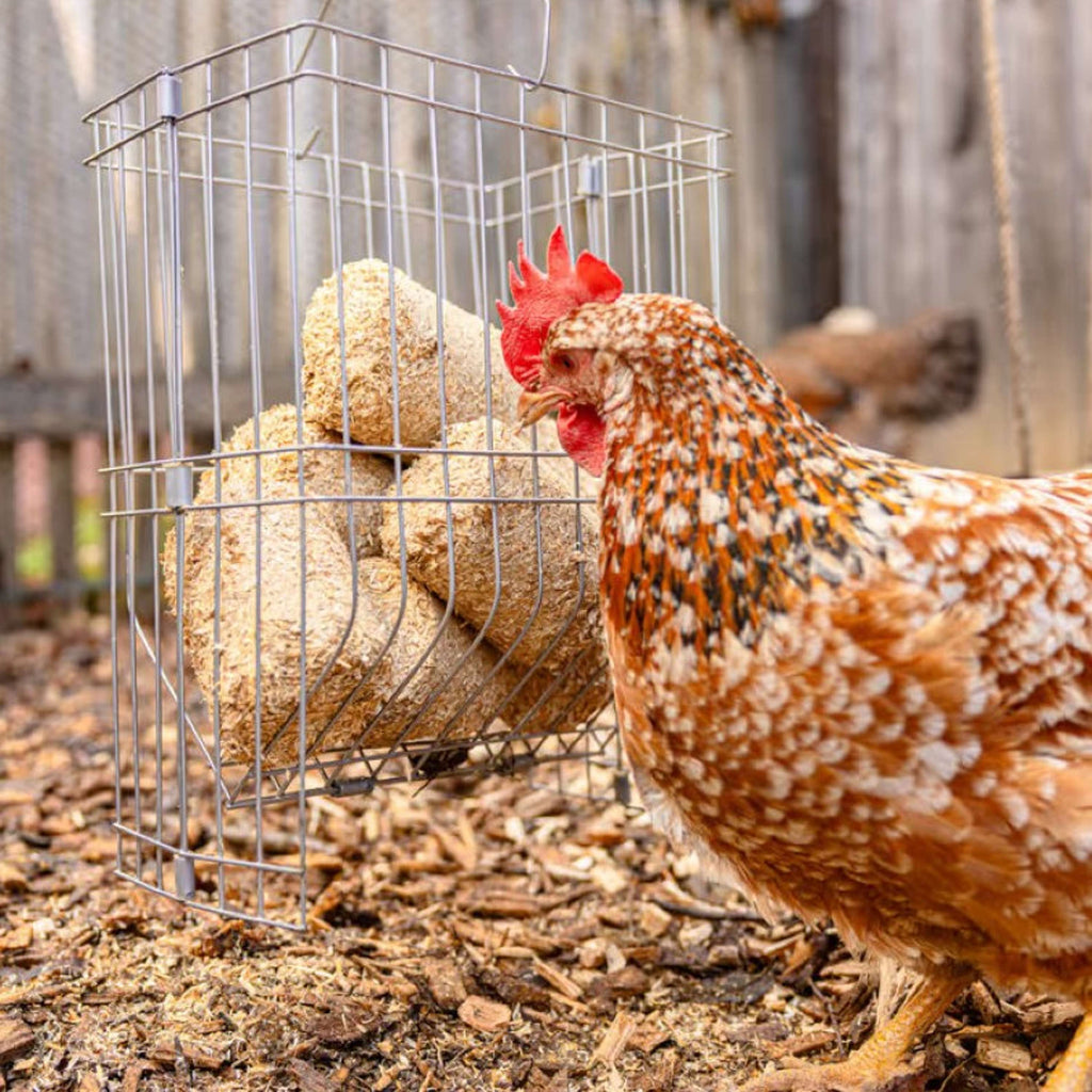 Kerbl Bloques de espelta para Pollos