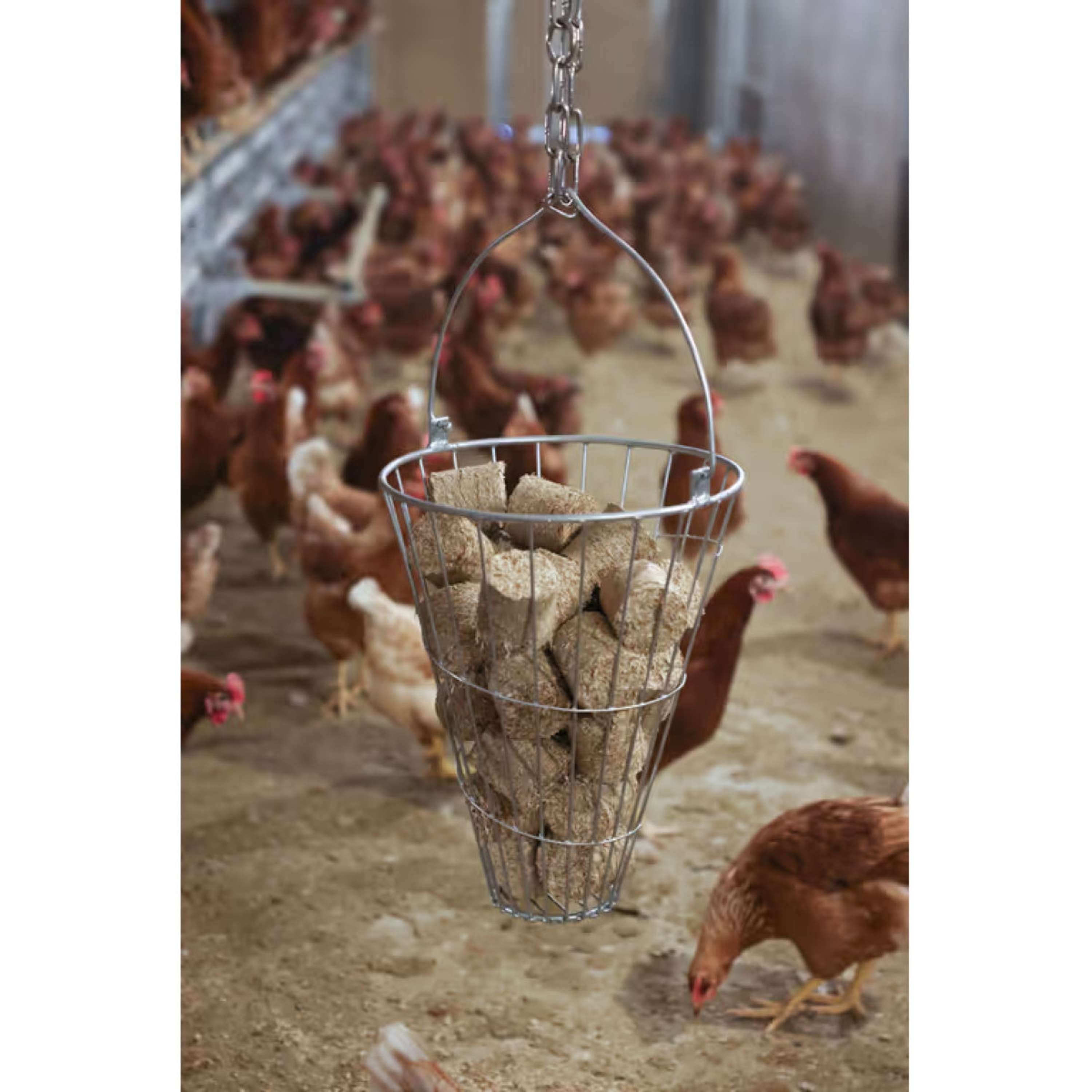 Kerbl Bloques de espelta para Pollos