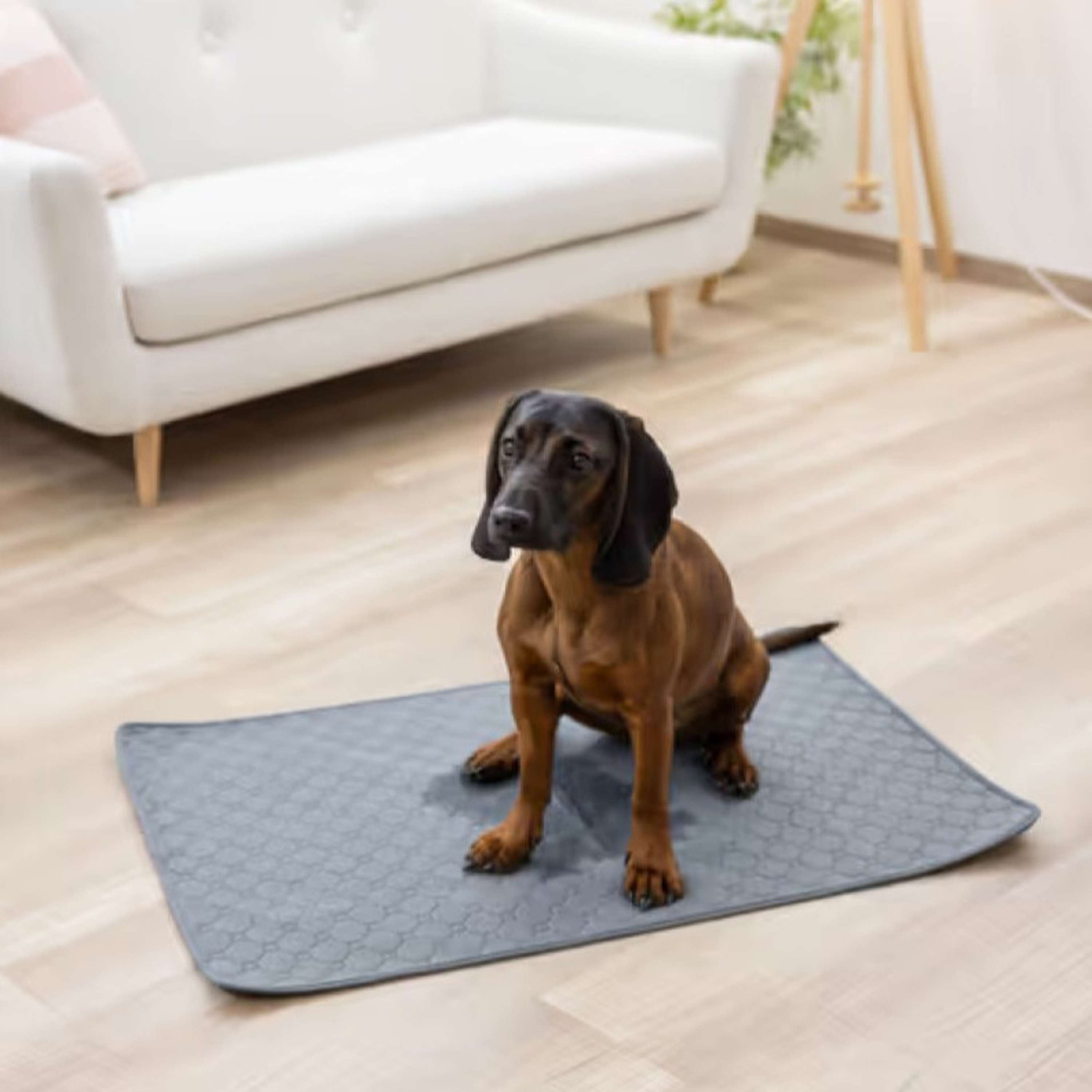 Kerbl Almohadilla de Orina Lavable Gris