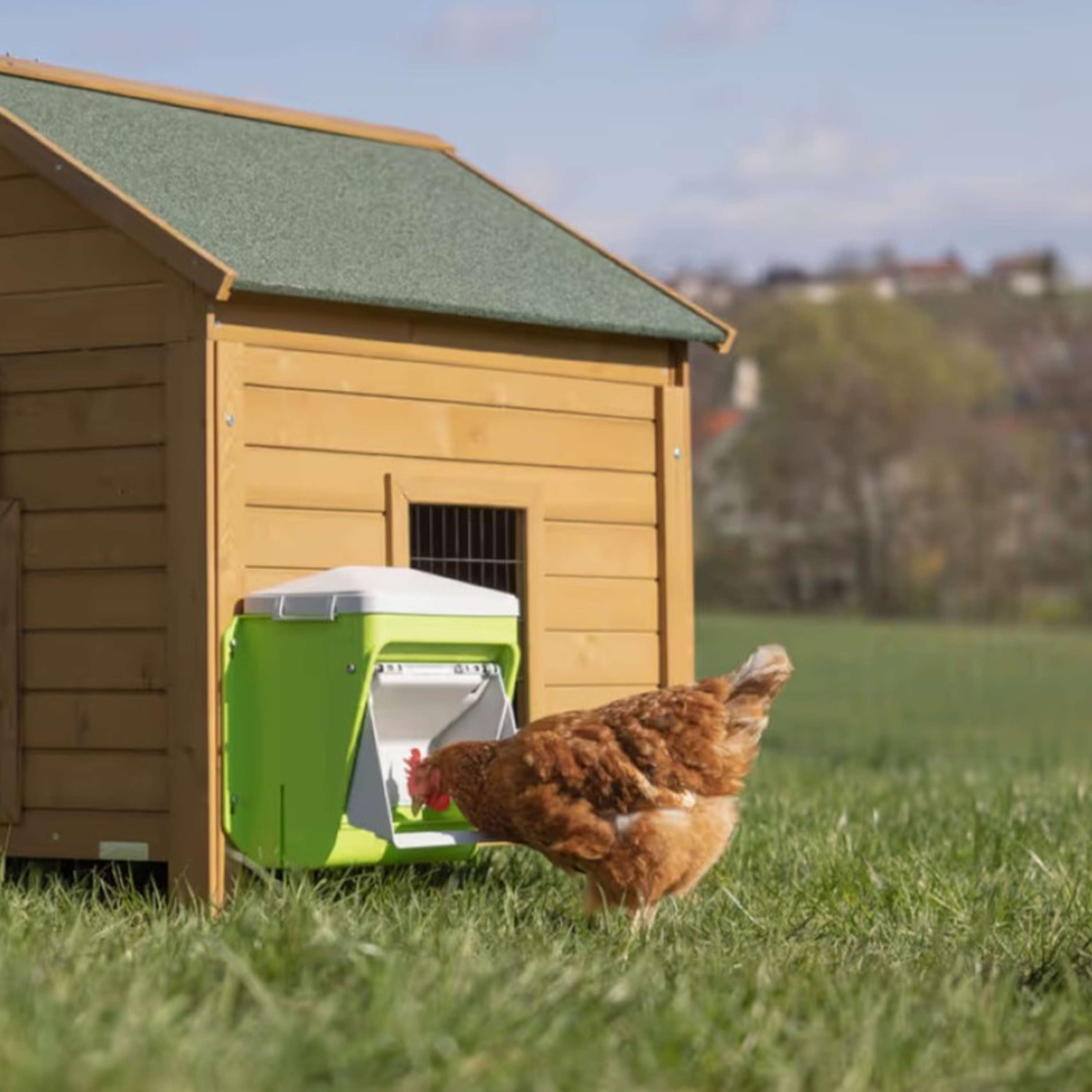Kerbl Alimentador Automático con Solapa Protectora Verde